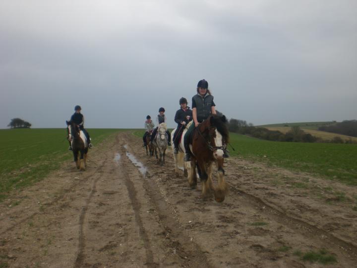 Hacking on the south downs Hacking on the south downs